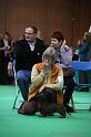 Crufts2011_2 1429